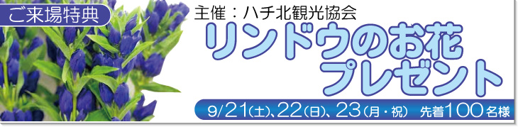 9/21,22,23先着１００名様リンドウのお花プレゼント