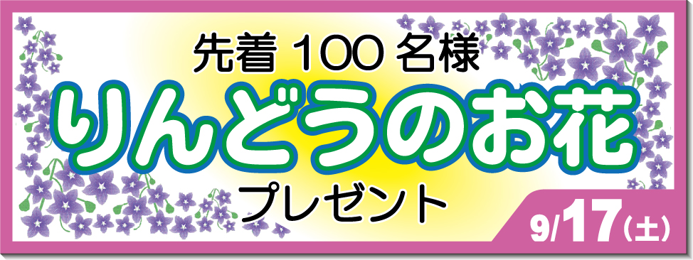 リンドウのお花プレゼント9/19,20