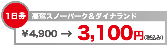 リフト券　ダイナランド＆高鷲