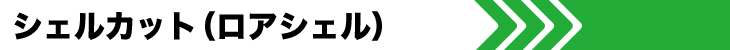 シェルカット（ロアシェル）