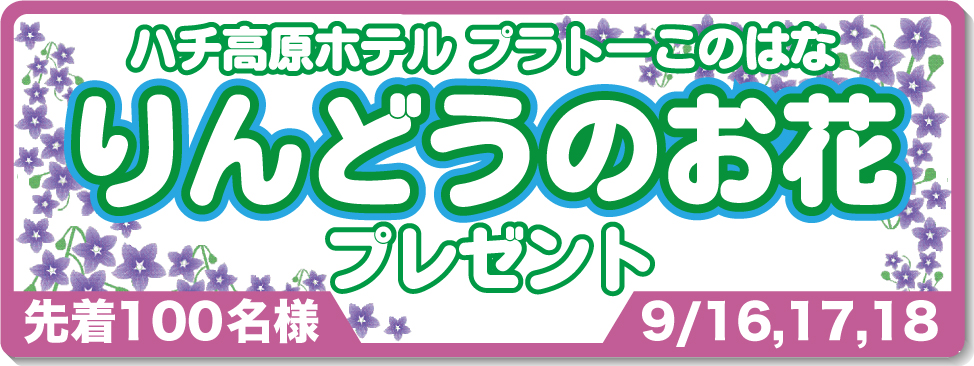 リンドウのお花プレゼント9/16,17,18