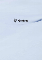 2020-2021 GOLDWIN メーカーカタログ