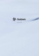 2020-2021 GOLDWIN メーカーカタログ