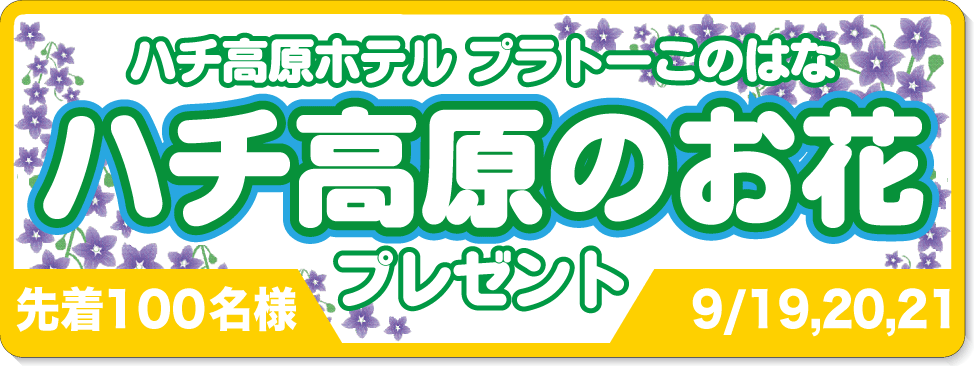 ハチ高原のお花プレゼント9/16,17,18