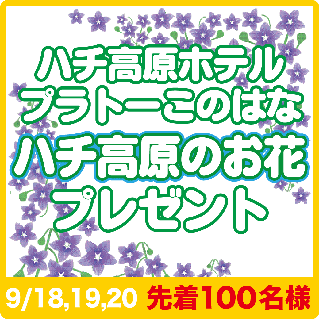 ハチ高原のお花プレゼント9/18,19,20