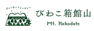 びわこ箱館山スキー場