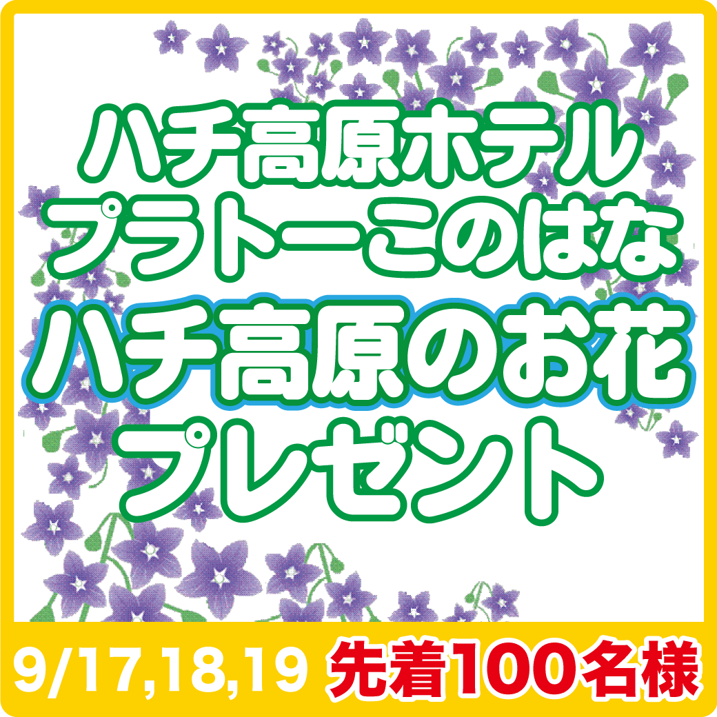 ハチ高原のお花プレゼント9/18,19,20