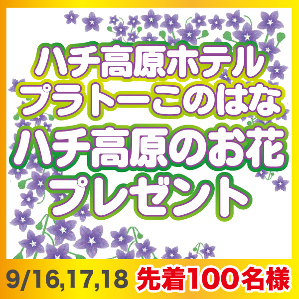 ハチ高原のお花プレゼント9/16,187,18