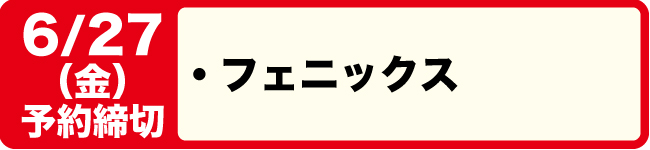 6/27締切