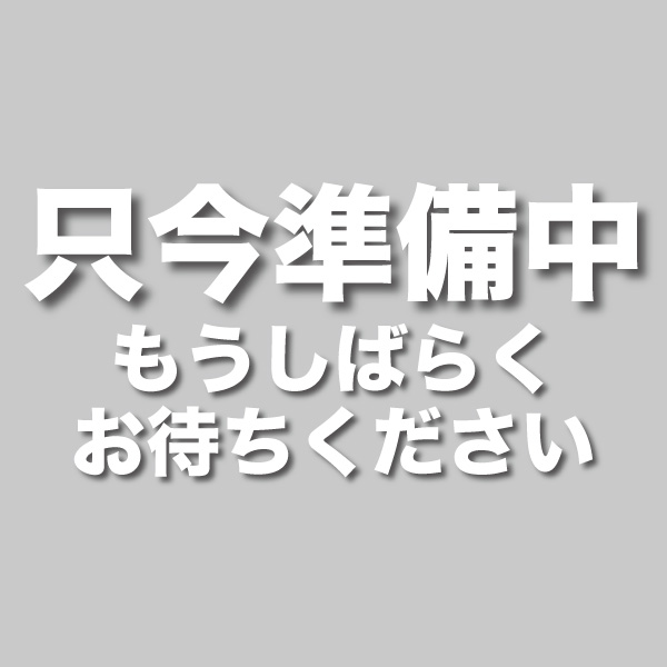 タナベスタッフ試乗レポート