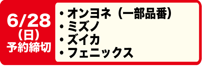 6/21締切